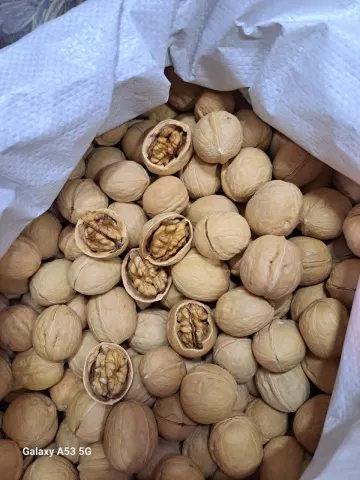 گردو با پوست خارجی